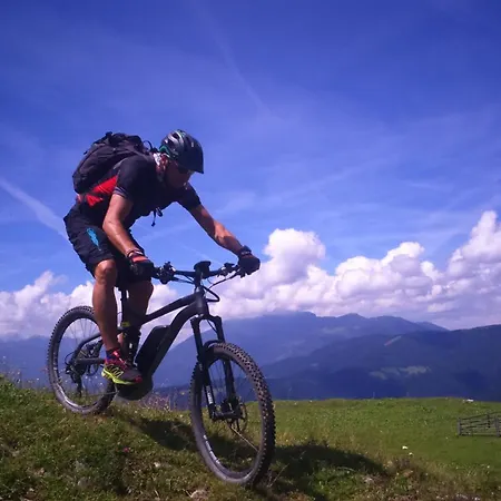 Beli Zajec Apartman *