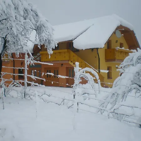 Apartman Beli Zajec *