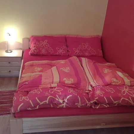 Beli Zajec * Mozirje