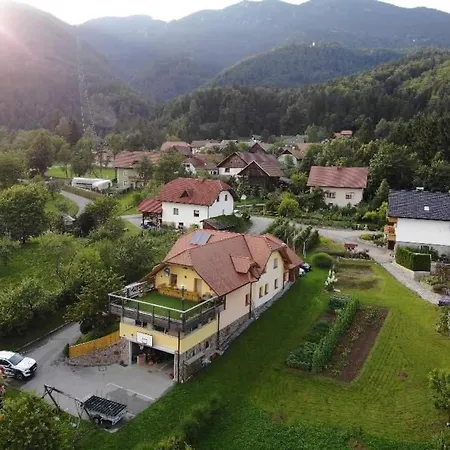 Beli Zajec *