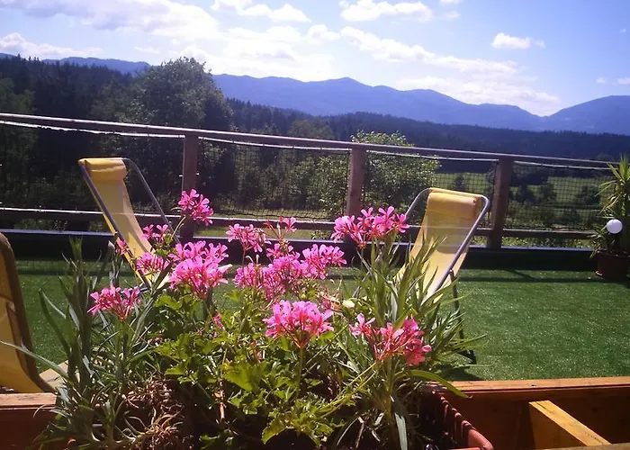 Beli Zajec Apartmán *