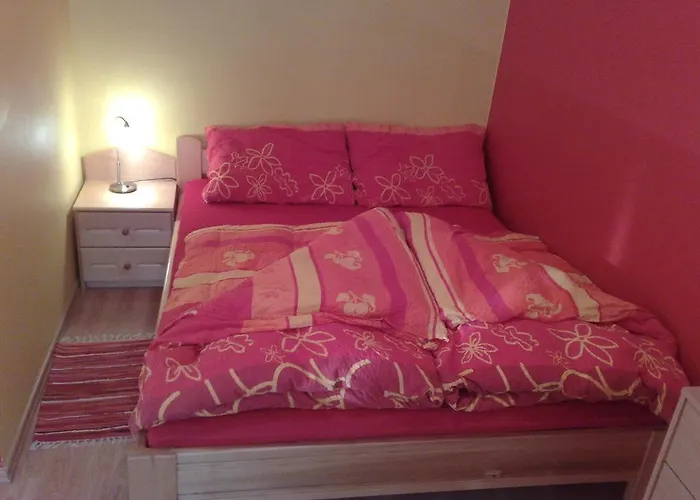 Beli Zajec * Mozirje